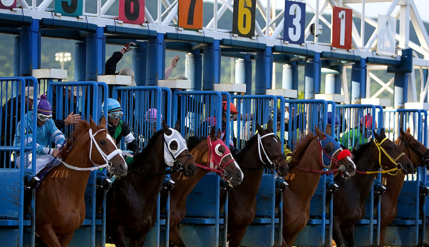 Penn National Gets West Virginia Sports Betting License, William Hill